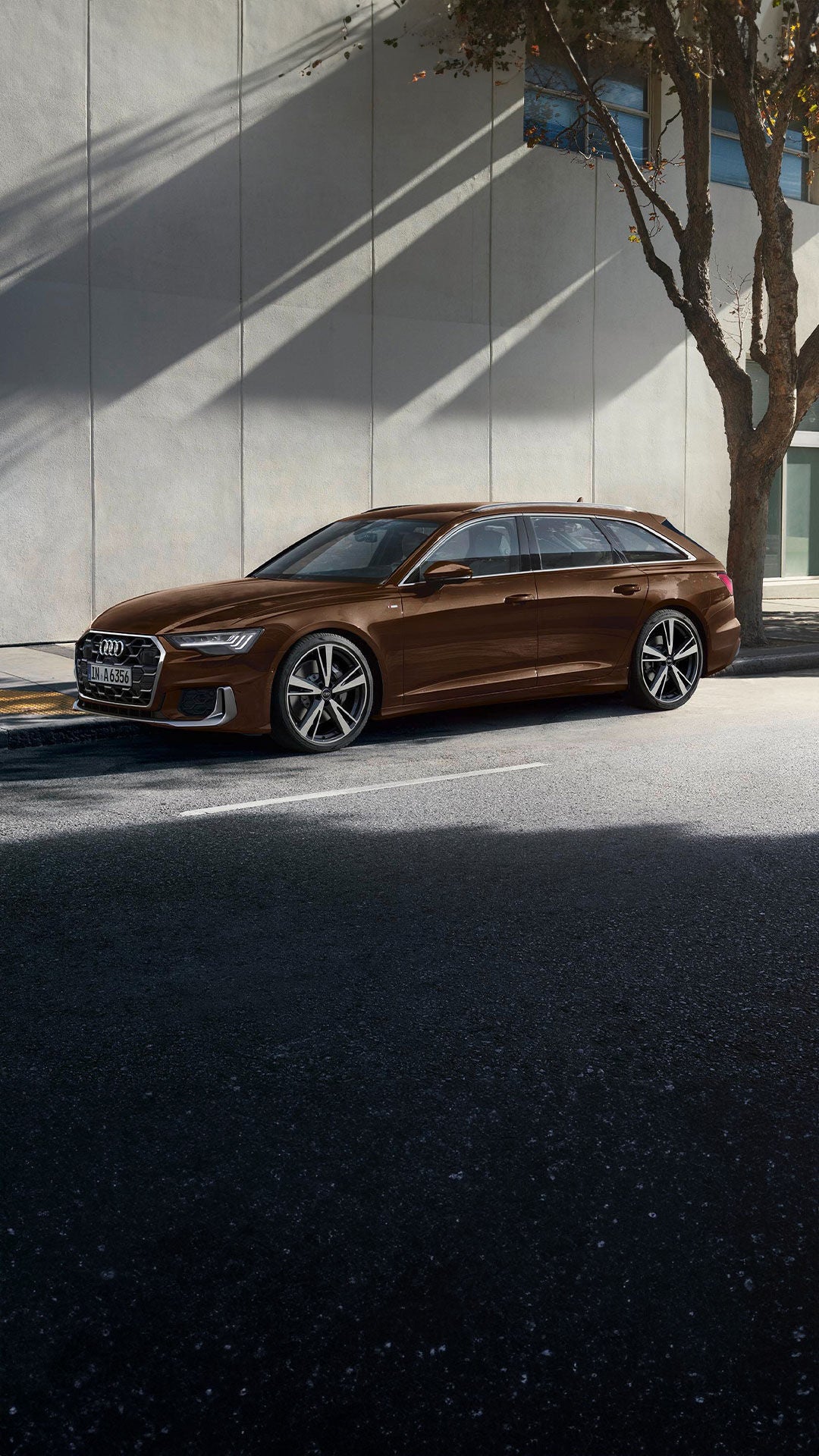 Foto del motor del Audi A6 Avant