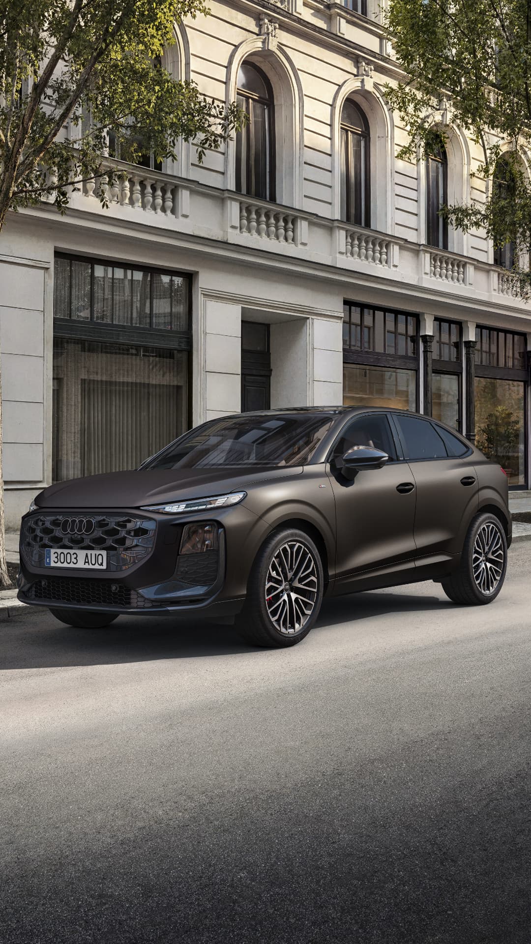 Lateral y parte trasera del Nuevo Q3