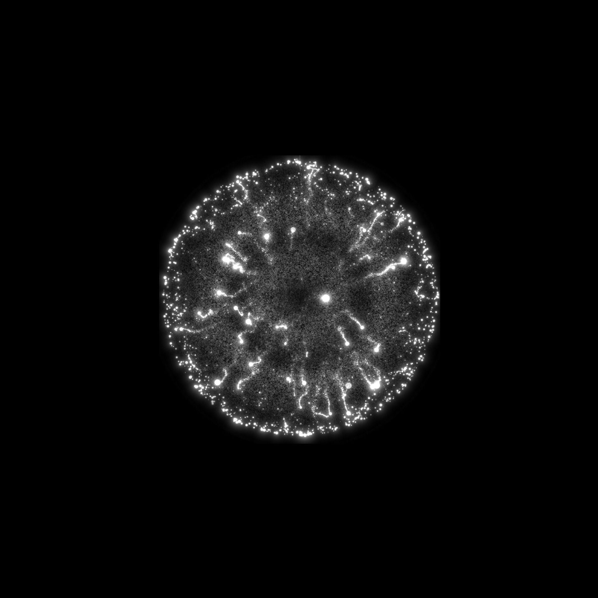 Abstract animation of one of the four Audi rings.