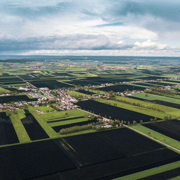 Aufnahme von grünen Feldern aus der Luft