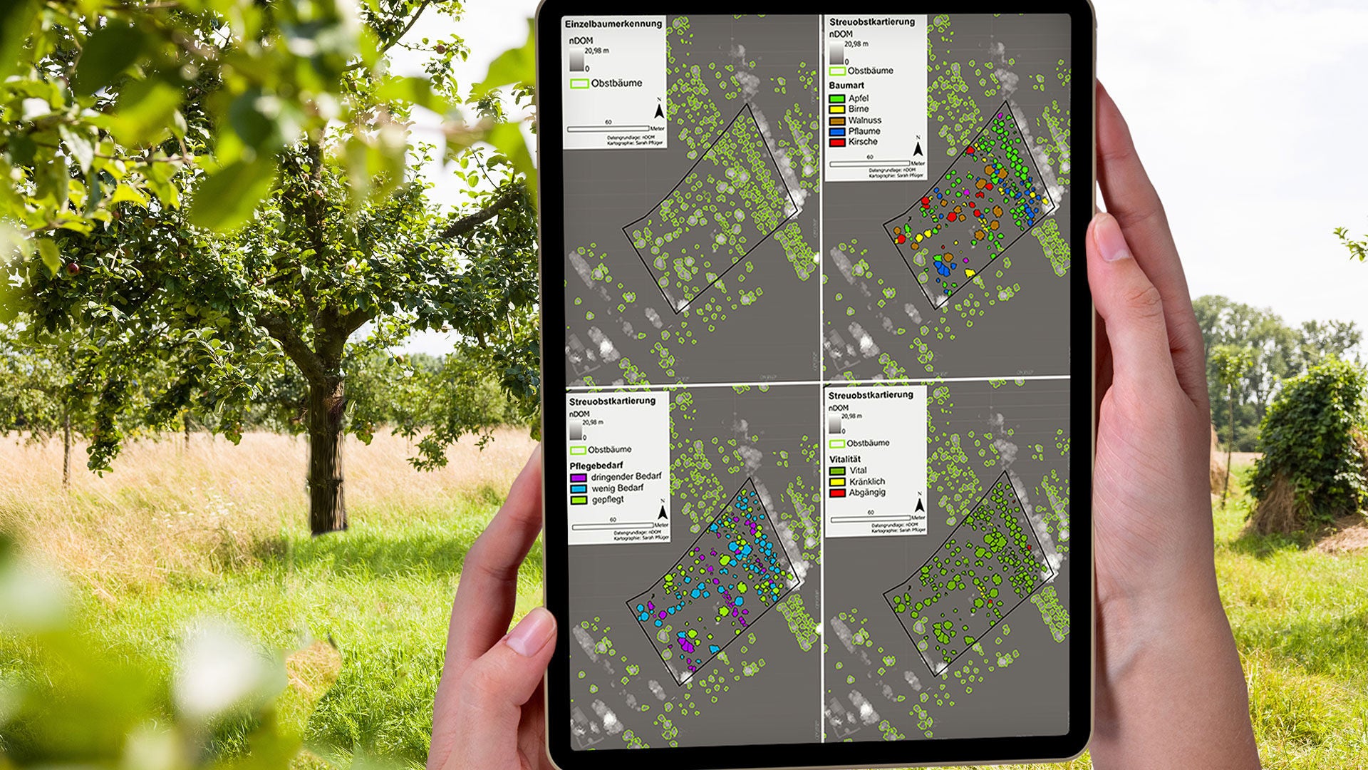 Auswertung von Drohnenflügen auf einem Tablet