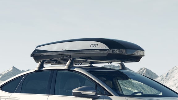 Stickers décoratifs pour coffre de toit