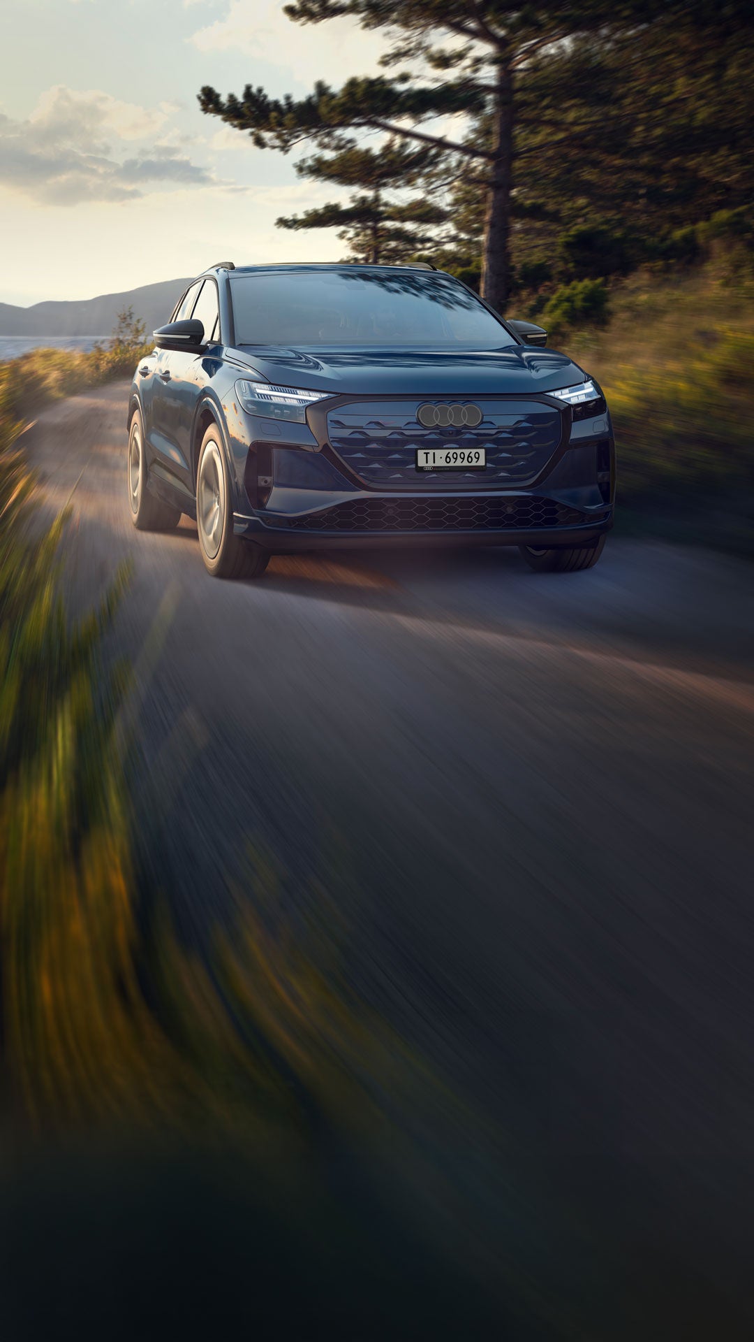 Audi Q4 e-tron Edition Swiss-Ski