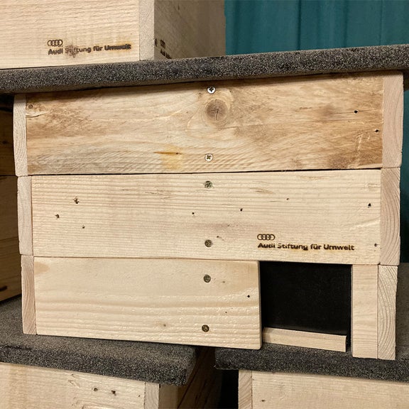 Close-up of a hedgehog house
