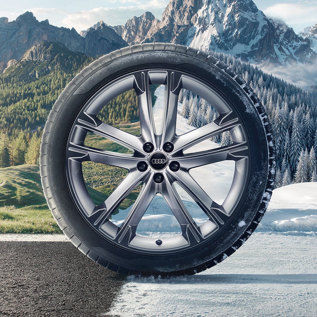 Inquadratura in primo piano delle Ruote Complete Invernali Audi, con un paesaggio innevato di montagna sullo sfondo.