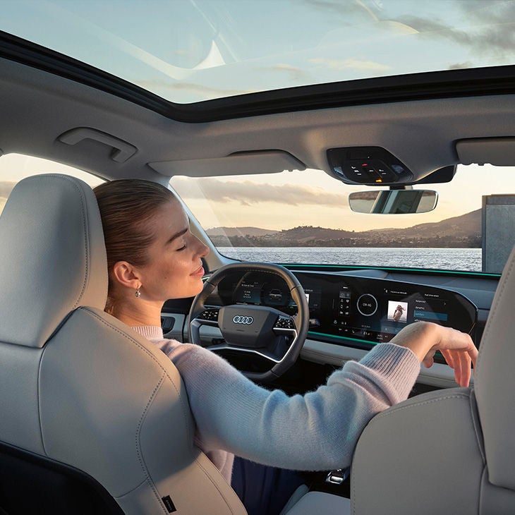 100% eléctrico, 100% para empresas