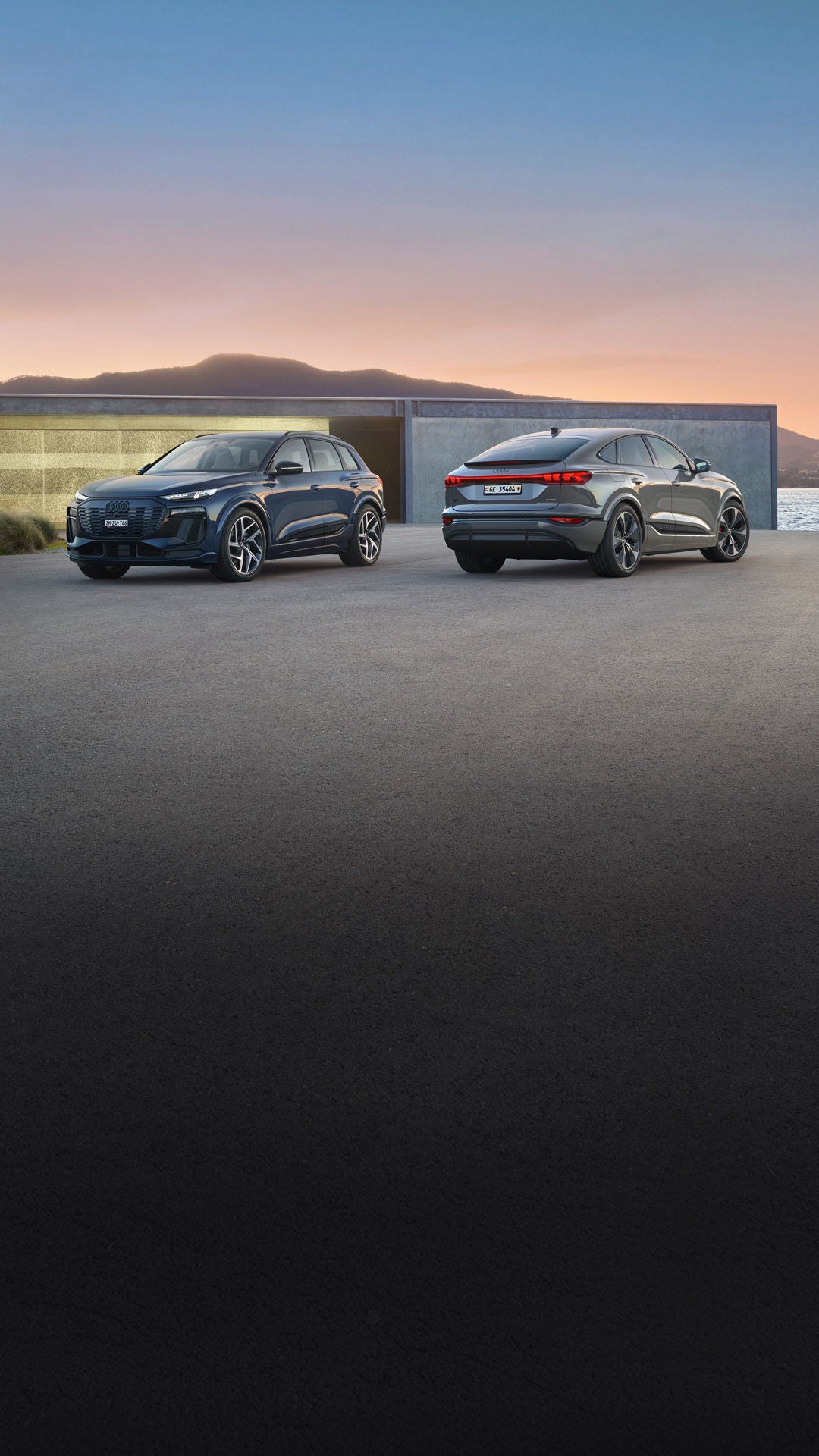 Audi Q6 SUV e-tron & Audi Q6 Sportback e-tron