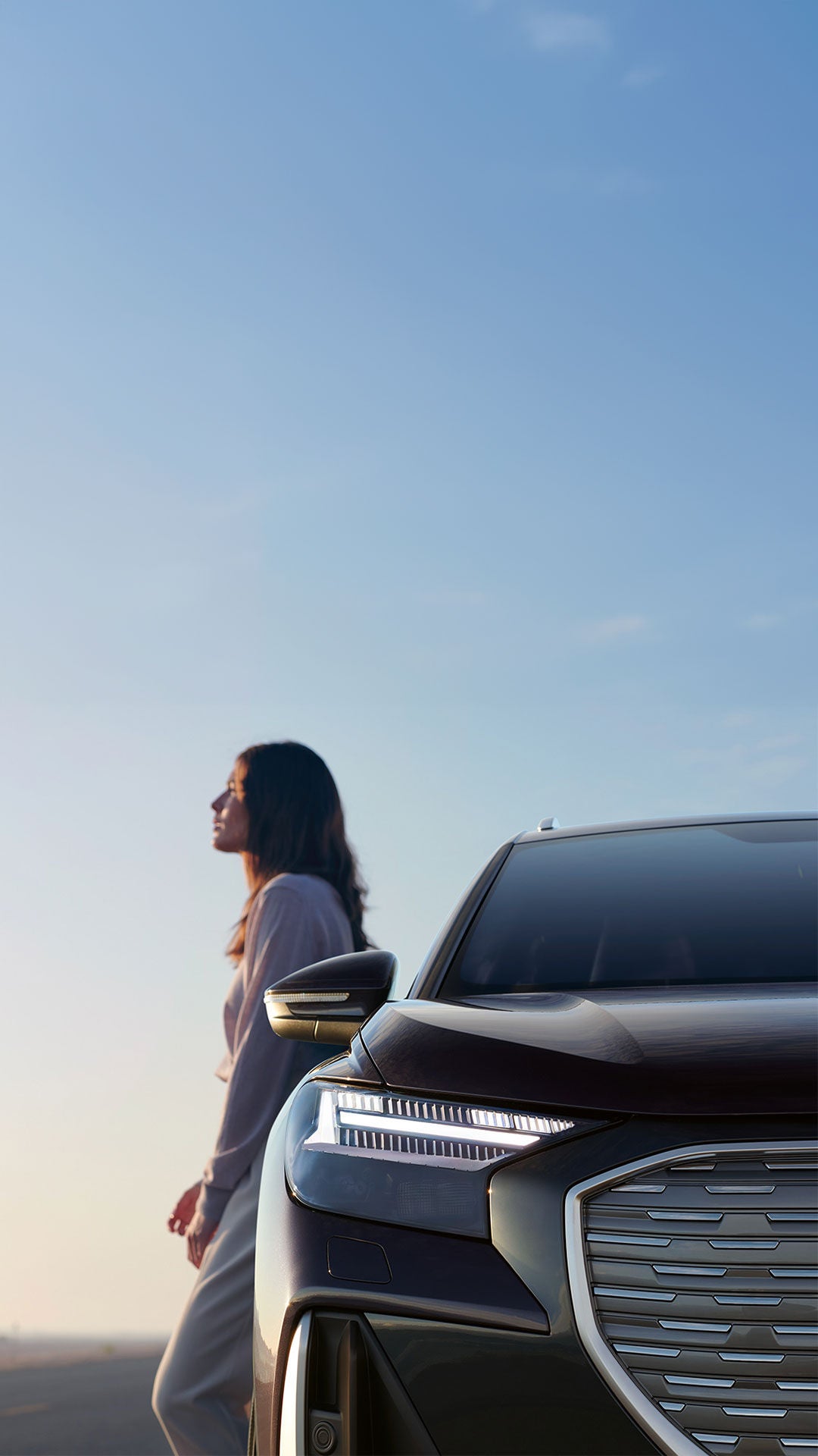 Buscador de concesionarios