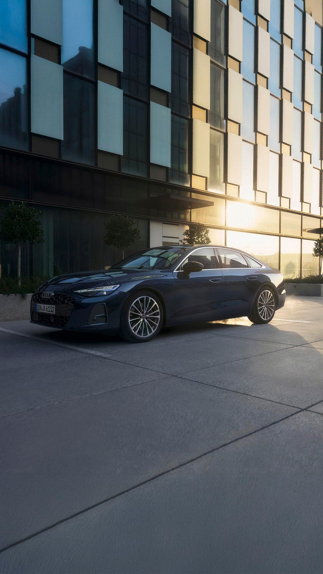 Audi Empresa