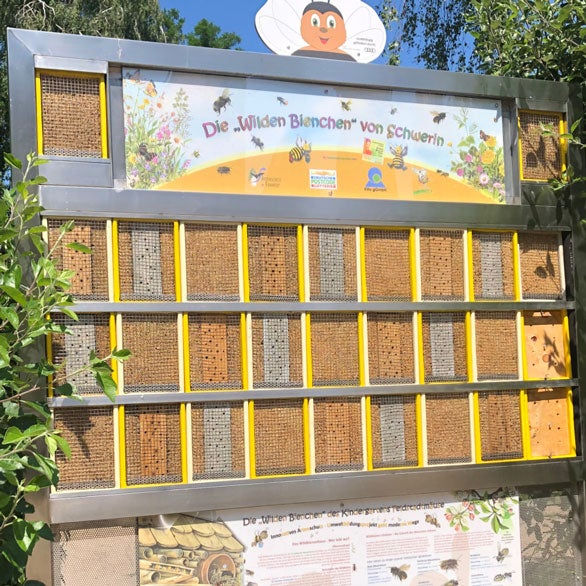 Bienenwand in Schwerin