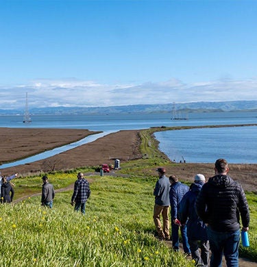 Eine Gruppe Menschen besichtigen eine Bucht