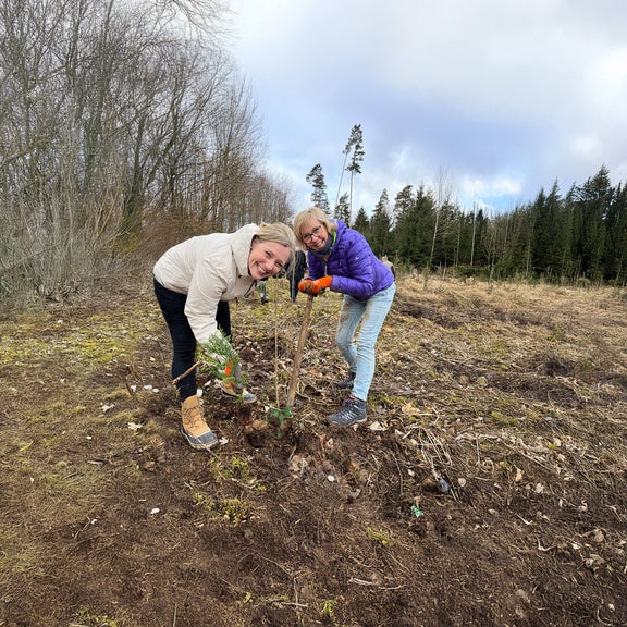 Zwei lächelnde Frauen pflanzen junge Bäume auf einer kahlen Waldfläche, umgeben von Natur und Werkzeug.