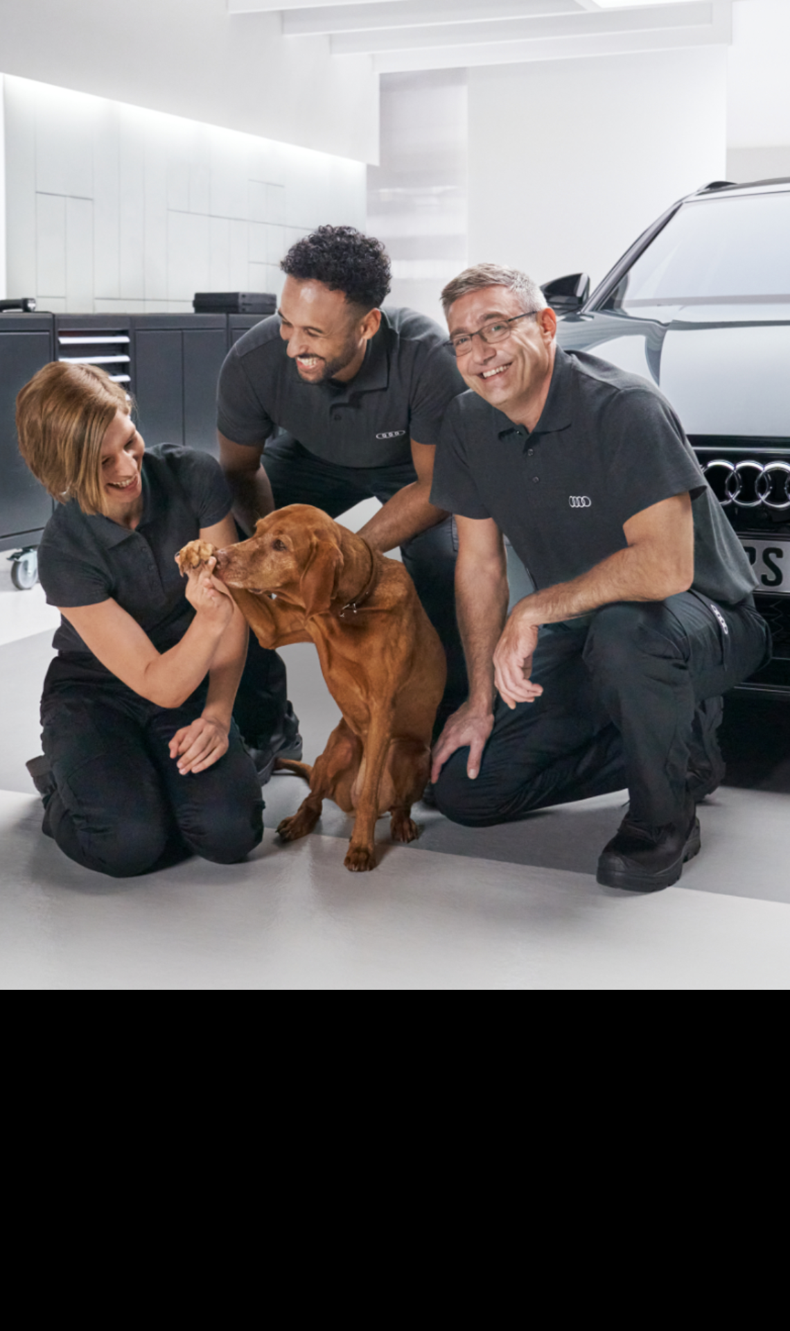 Mantenimiento Audi Canarias