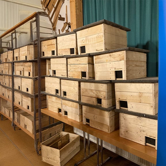 A shelf full of hedgehog houses in a hall