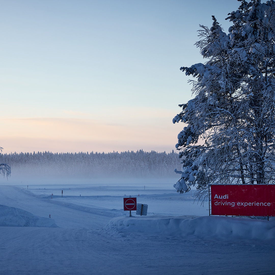 A snow-covered road at dusk, a large snow-covered tree, and a red sign that reads “Audi driving experience.”