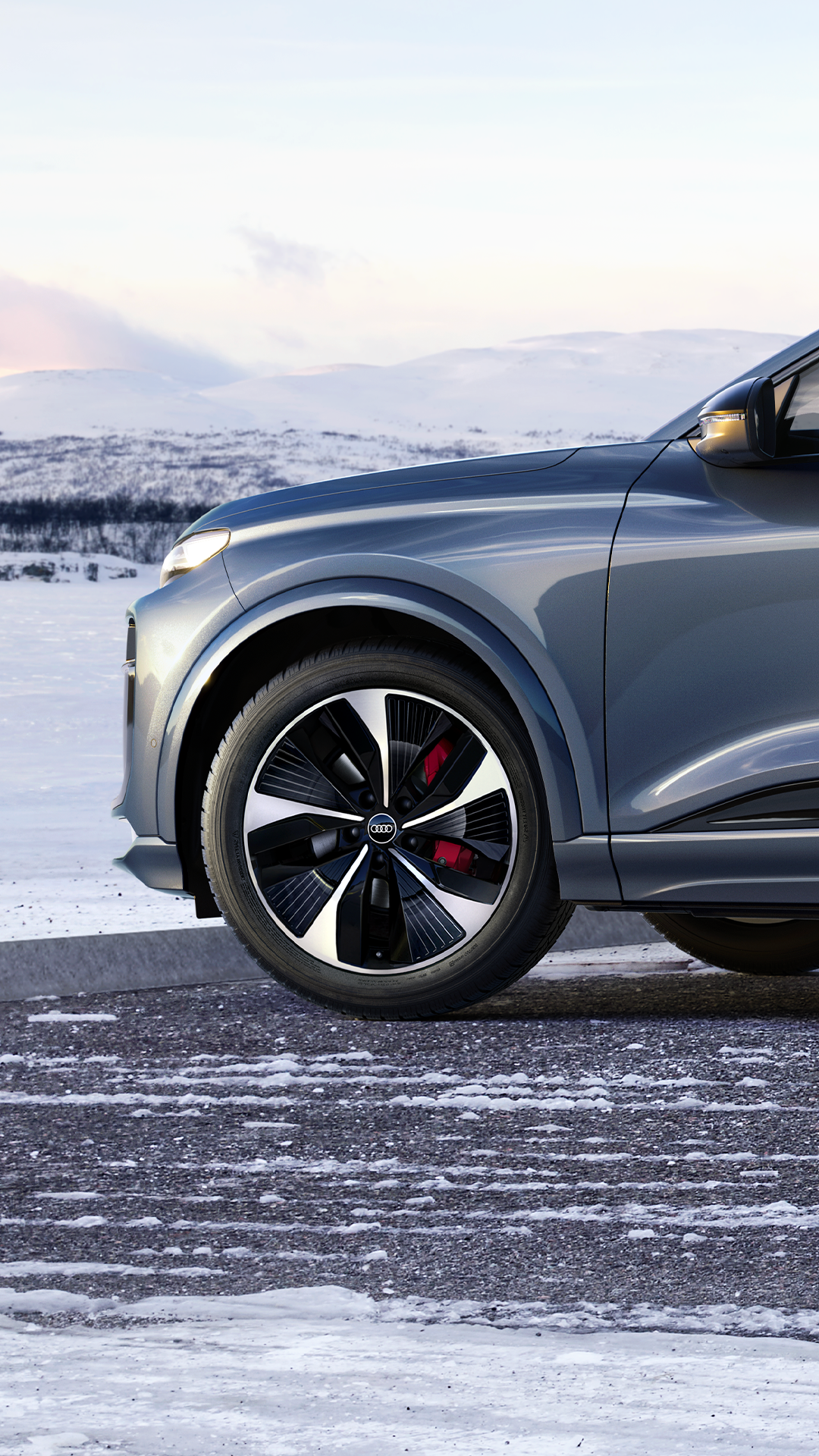 Inquadratura in primo piano delle Ruote Complete Invernali Audi, con un paesaggio innevato di montagna sullo sfondo.