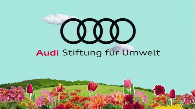 Logo der Audi Stiftung für Umwelt mit bunten Blumen im Vordergrund und grünem Hügel unter blauem Himmel mit Wolken.