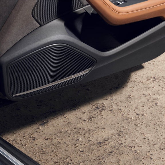 Close-up of a car door interior with a speaker and leather trim.
