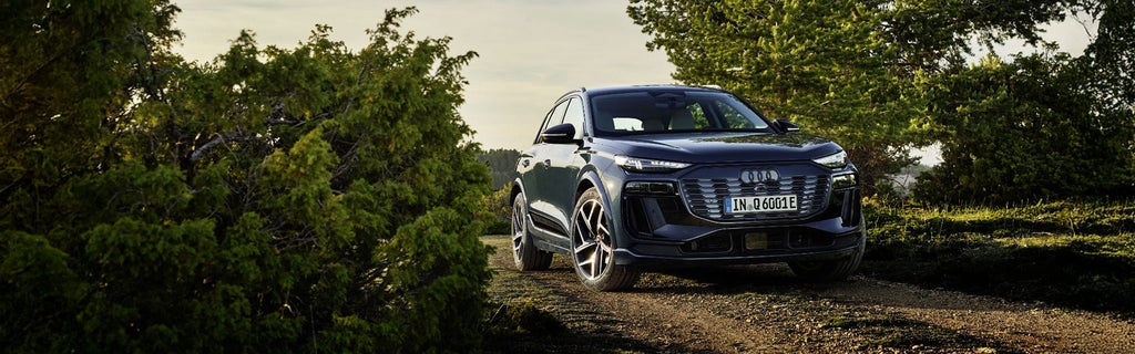 Audi Q6 e-tron zwischen zwei Bäumen auf einer Waldstraße