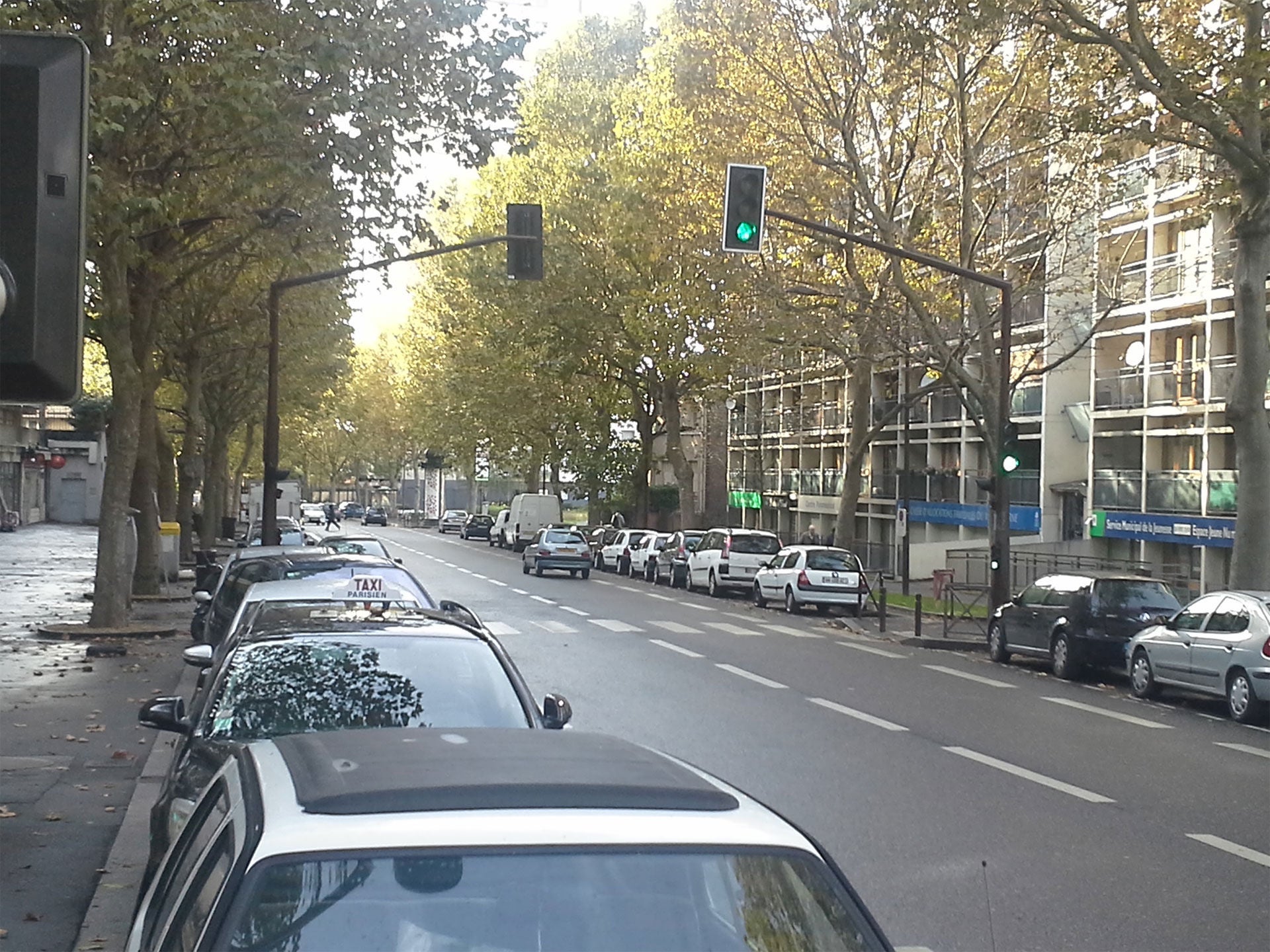 Ahornblättrige Platanen in Paris