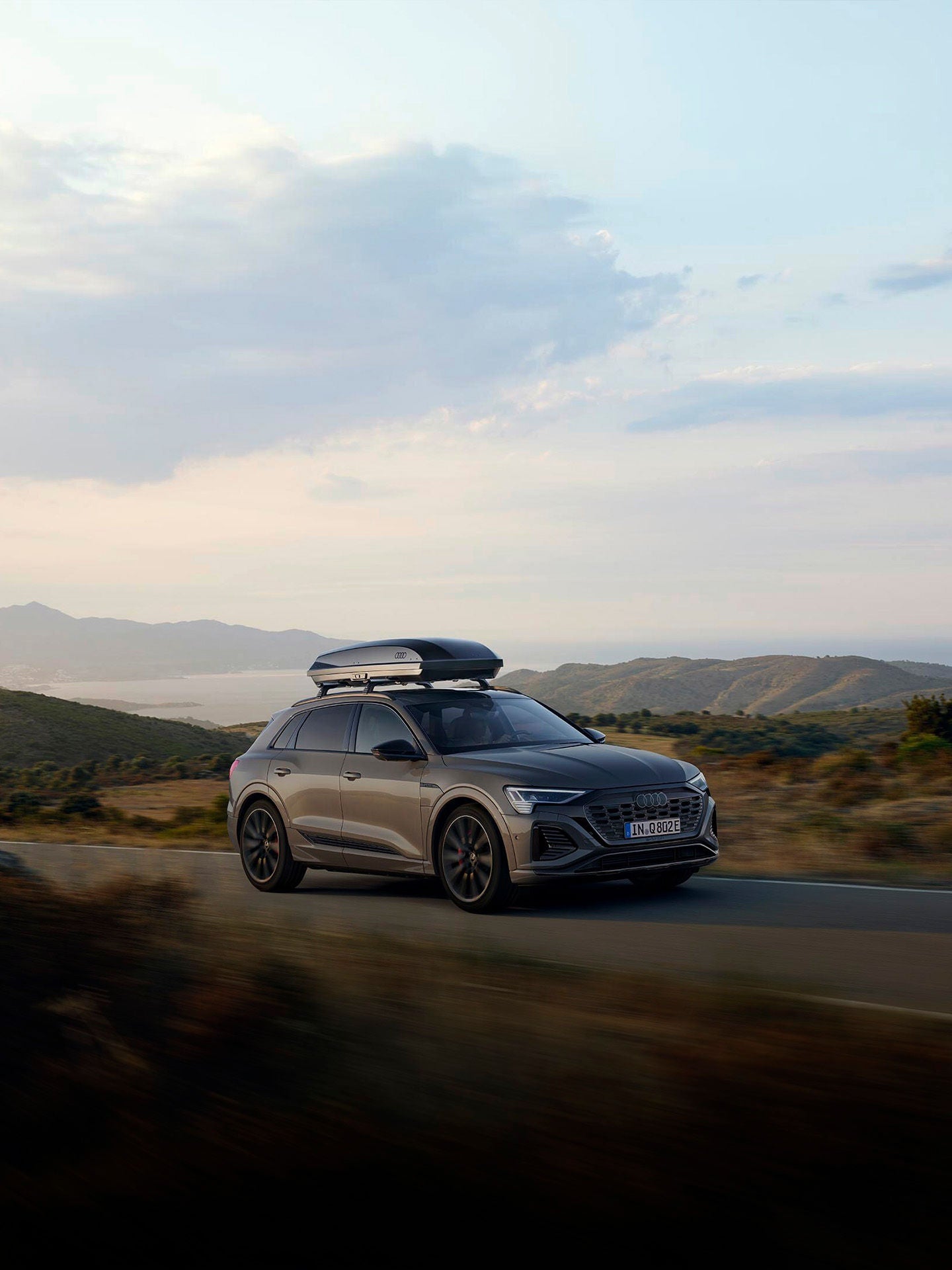 Foto de los Recambios Originales Audi. 