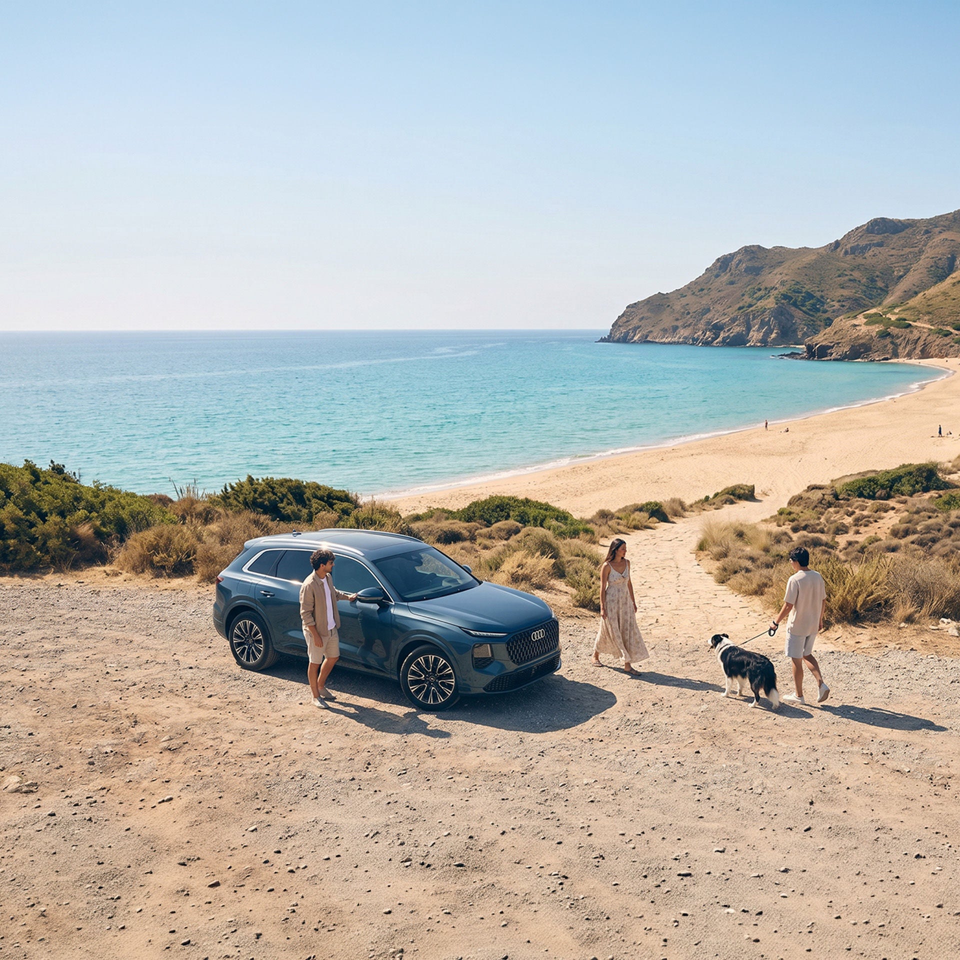 Promoción de verano de Sealco Motor