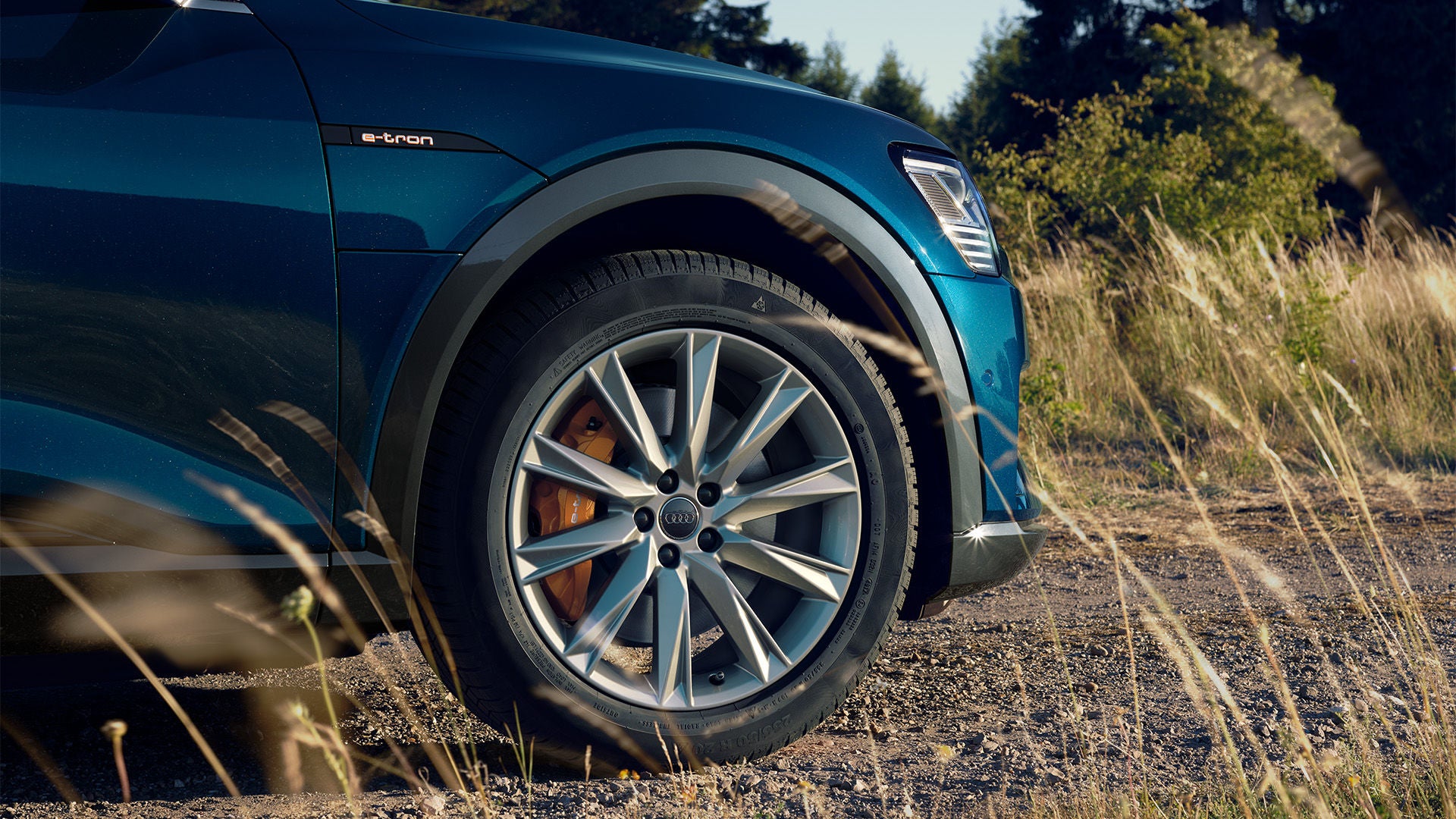Vorderes Rad eines blauen Audi e-tron mit Audi-Felge, aufgenommen auf einem Feldweg mit Gras im Vordergrund.