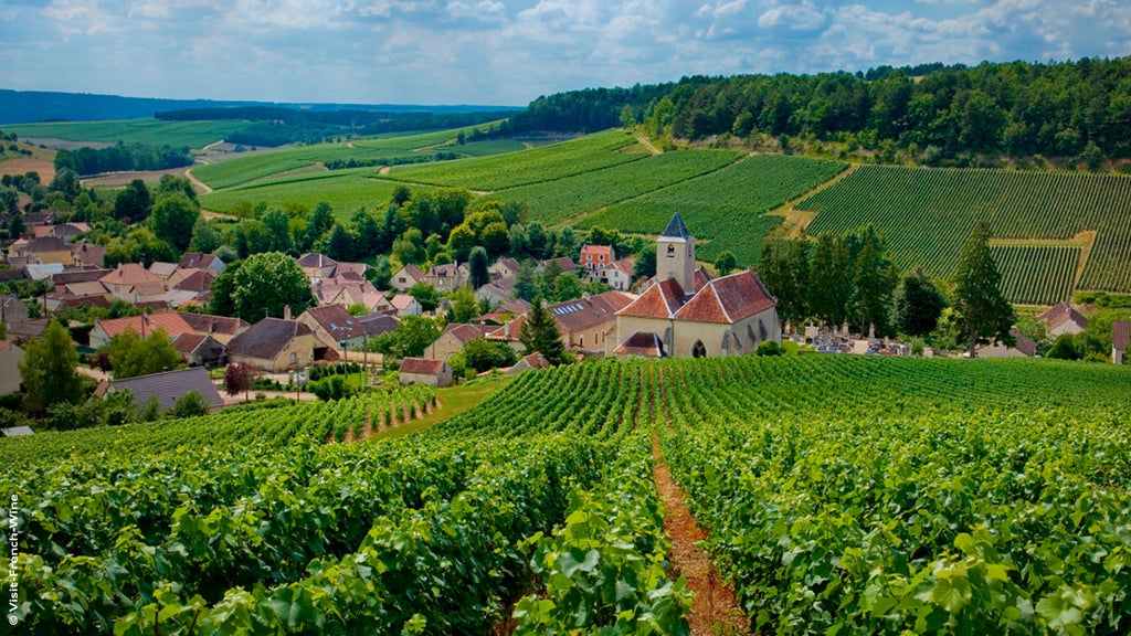​​​Reims : sa majesté des bulles 