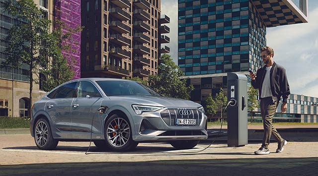 Audi レスキューガイドライン