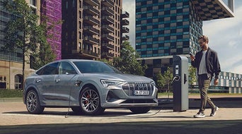 Audi レスキューガイドライン