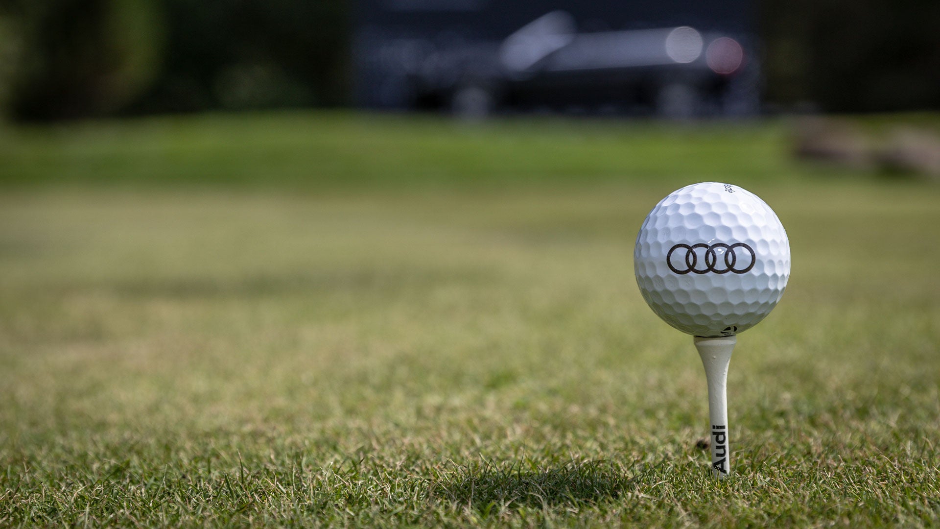 Audi × GOLF