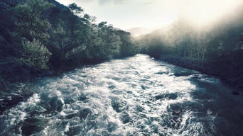 Reißender Fluss fließt durch bewaldetes Tal bei Sonne