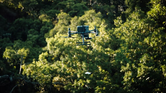 Drone flies through treetops