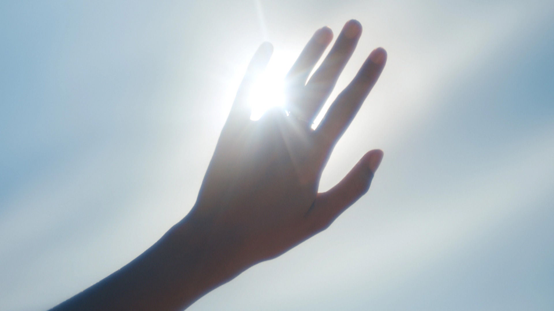 Hand in front of a bright sky, sunlight shining through between the fingers.