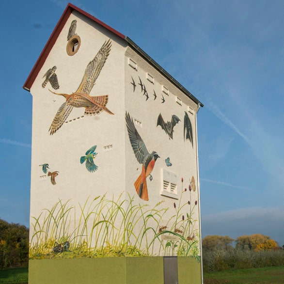 Artenschutzprojekt in Ittlingen