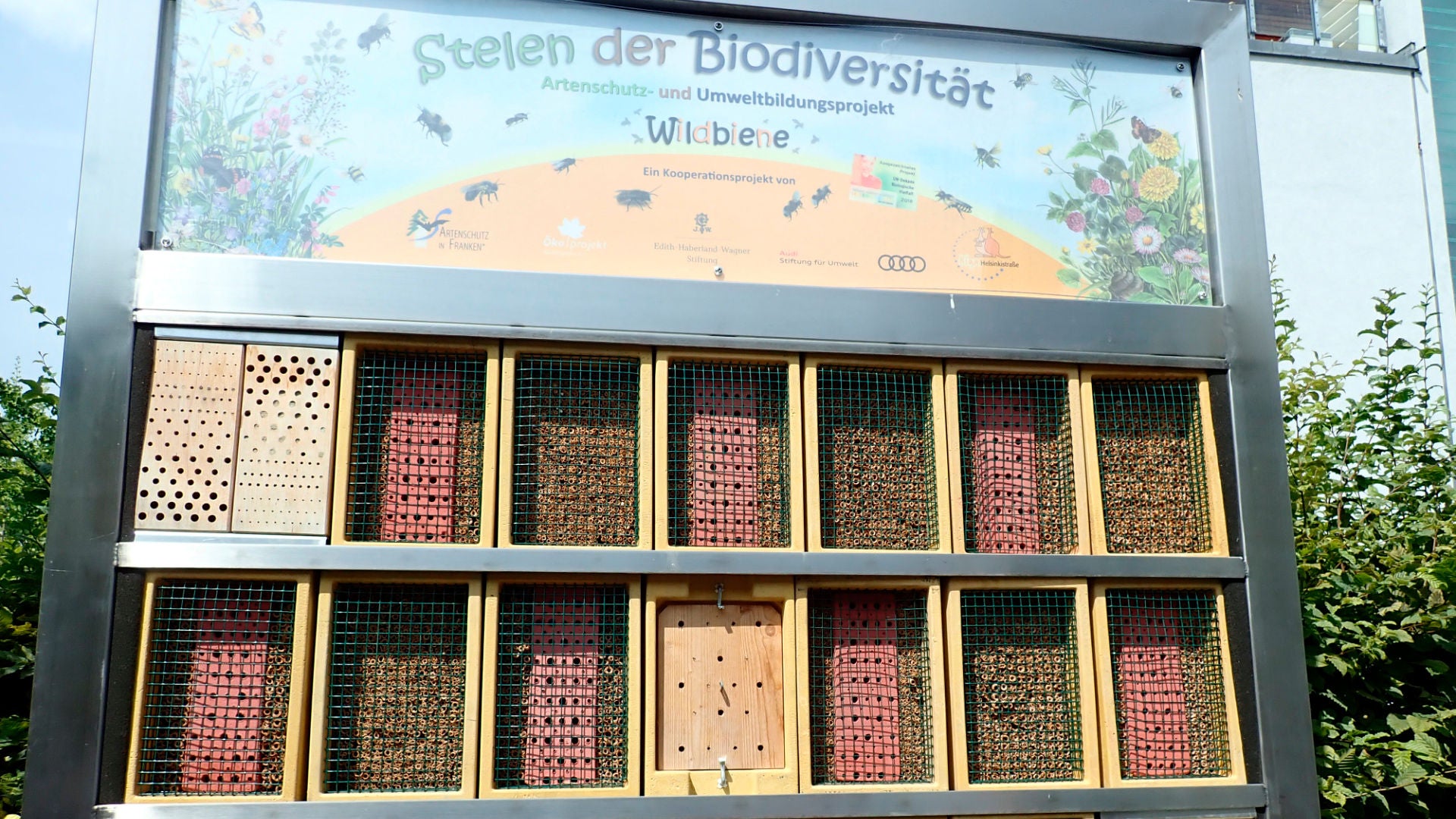 Die „KiBeG“ Wildbienenherberge