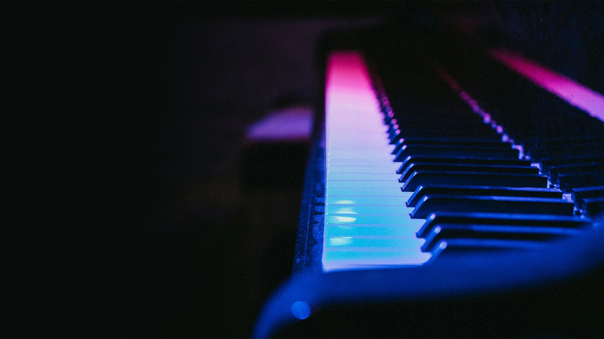 Klavier in Nahaufnahme, die Tasten werden von einem pinken und blauen Licht angestrahlt.
