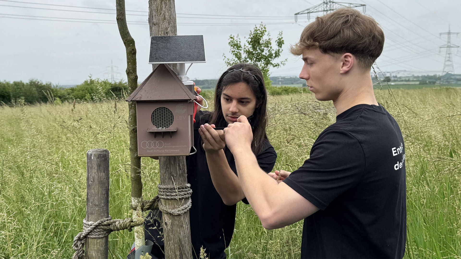 Two young people install a solar-powered listening station in the form of a nesting box in a meadow.