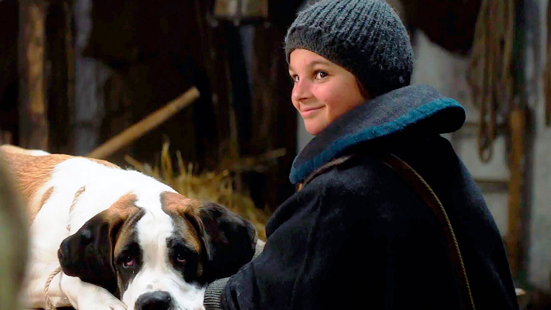 Der zwölfjährige Georg begegnet im Stall dem jungen Bernhardiner Barry.