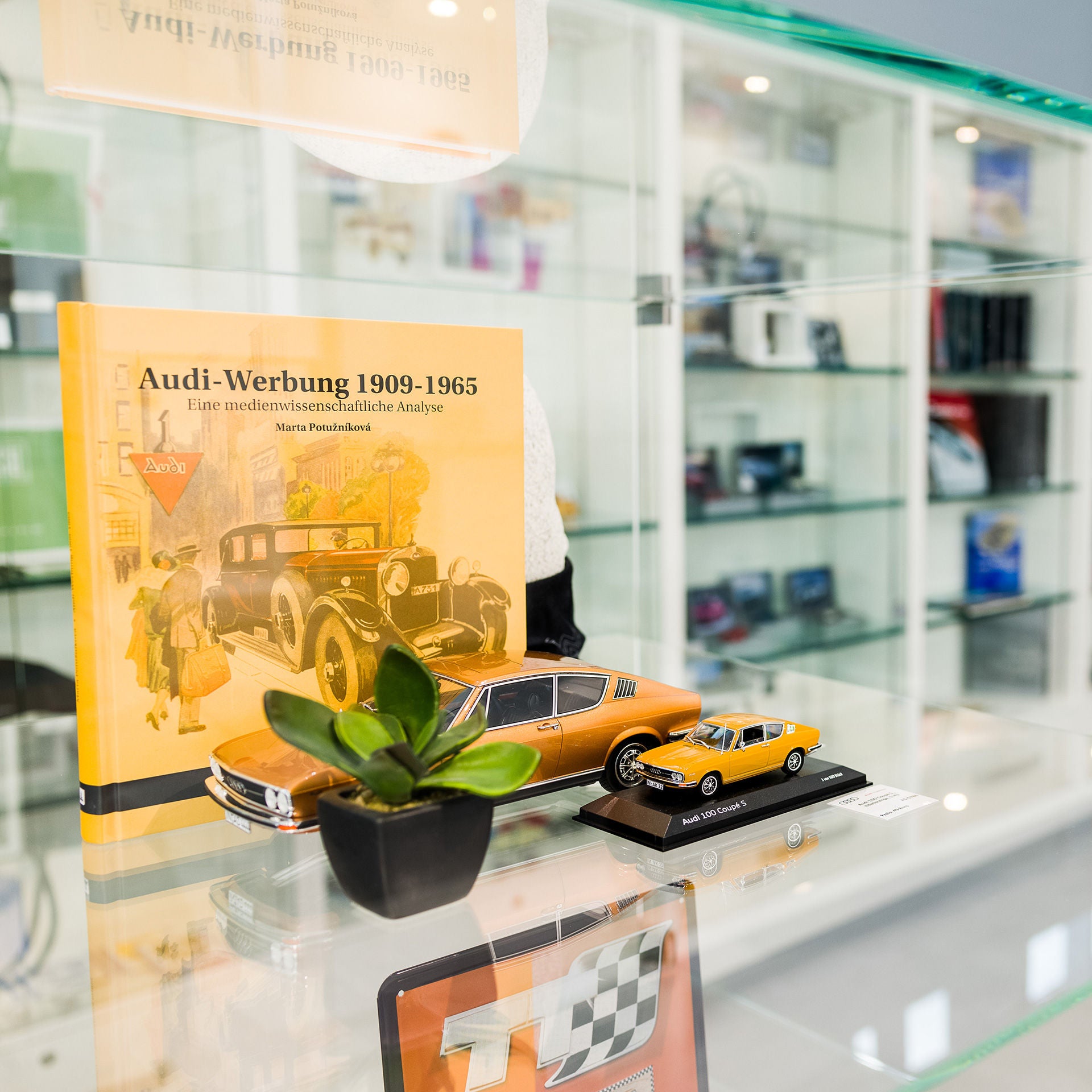 In einer Vitrine befinden sich zwei kleine Modell Audi in gelb. Im Vordergrund steht eine Pflanze die etwas größer ist als die Fahrzeuge. Im Hintergrund befindet sich ein Buch zum Thema Modell Autos, auc in gelb.
