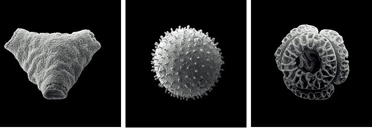 目に見えない場所に潜む、カビやバクテリア。