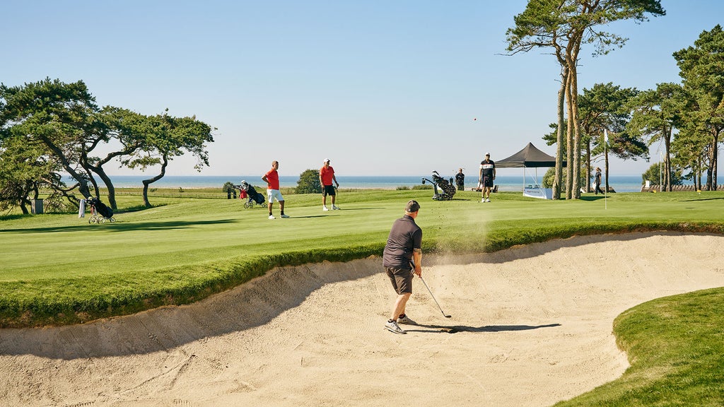 Under en blå himmel och i brittsommarvärme avgjordes Sverigefinalen av Audi quattro Cup på Barsebäcks två banor – Pine Course och Ocean Course.