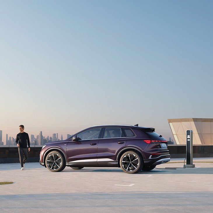 100% eléctrico, 100% para empresas