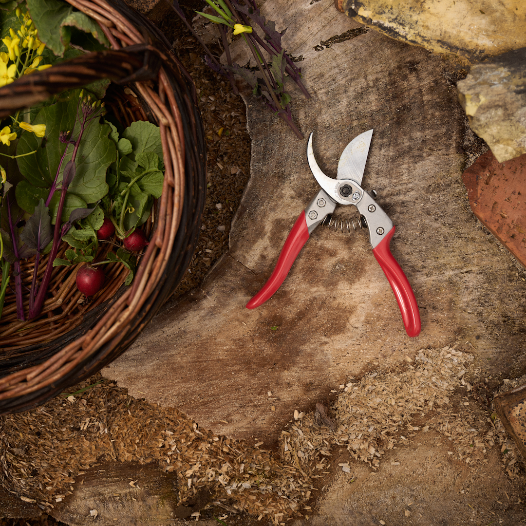 Billede af blomster, sten og en saks