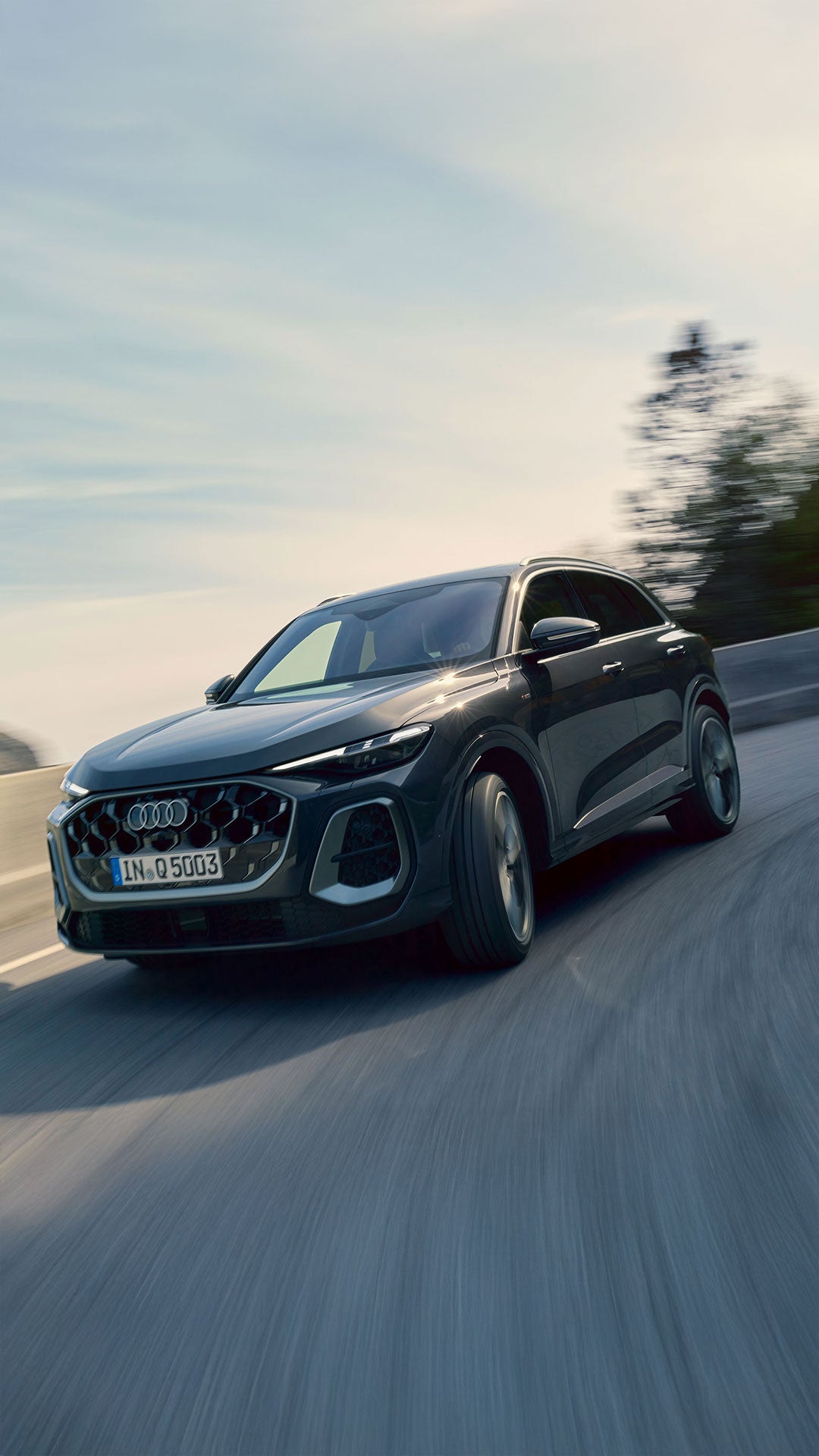 Audi Corporate Program 