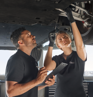 Audi Twin Service