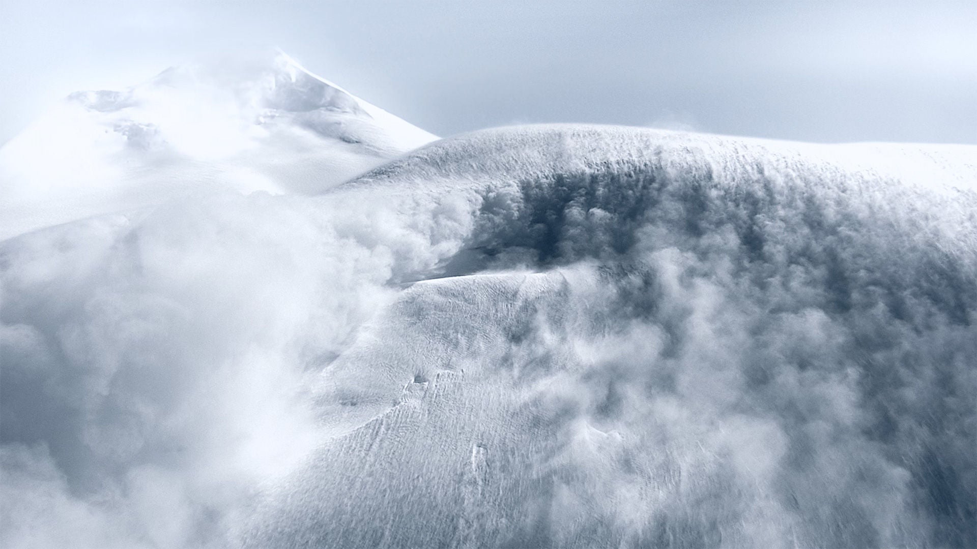 Image of starter batteries 