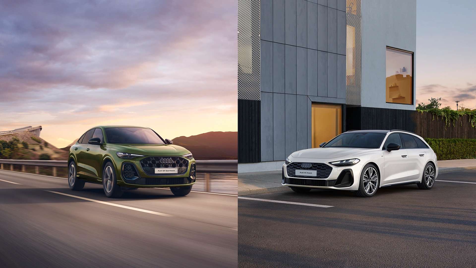 Q5とA5の走行する様子