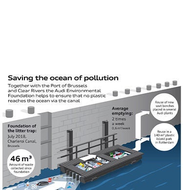 Graphical representation of the litter trap