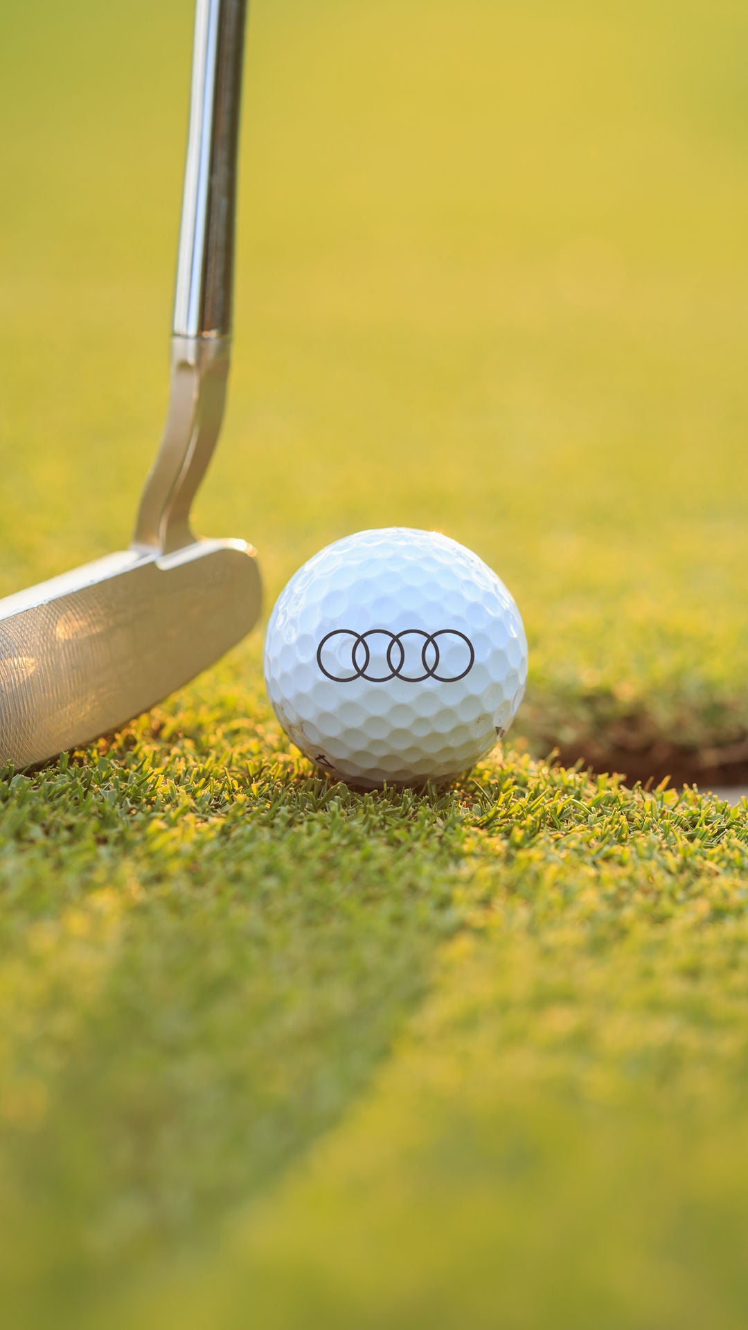 Un putter de golf posé derrière une balle blanche, juste devant le trou, sur un green ensoleillé.